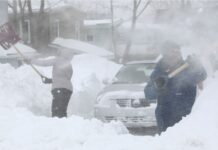 Ja du har rett! – Vinteren har vært lang og kald