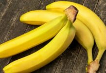 Det amerikanske skandaleombruste bananselskapet Chiquita skal etablere seg på nytt i Panama