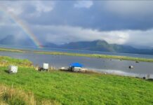 Hvert bilde forteller en unik historie