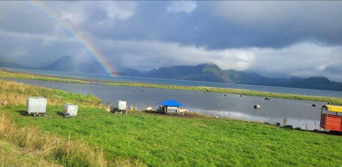 Vesterålen Bilde Michael Breines Oredam
