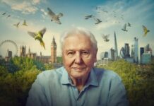 Sir David Attenborough er tilbake på skjermen – med Londons villmark i hovedrollen