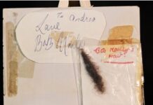 Bob Marleys hår selges på auksjon – reggaeikonet var også fullstendig fotballgal