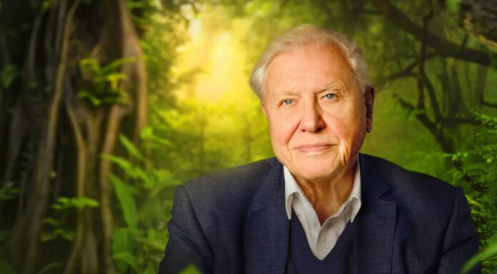 David Attenborough fyller 100 år: 10 ting du ikke visste om kongen av natur dokumentarer